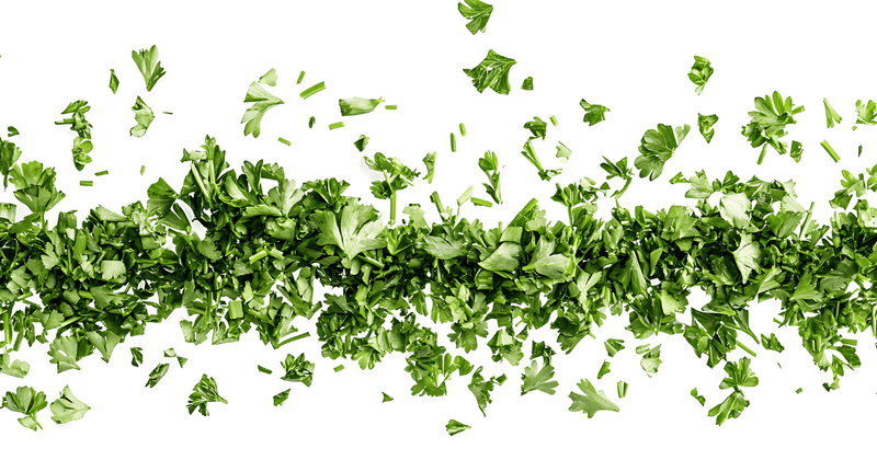 せり徹底攻略ガイド：プロが教える絶品レシピと食べ方で春の味覚を最大限に楽しむ！