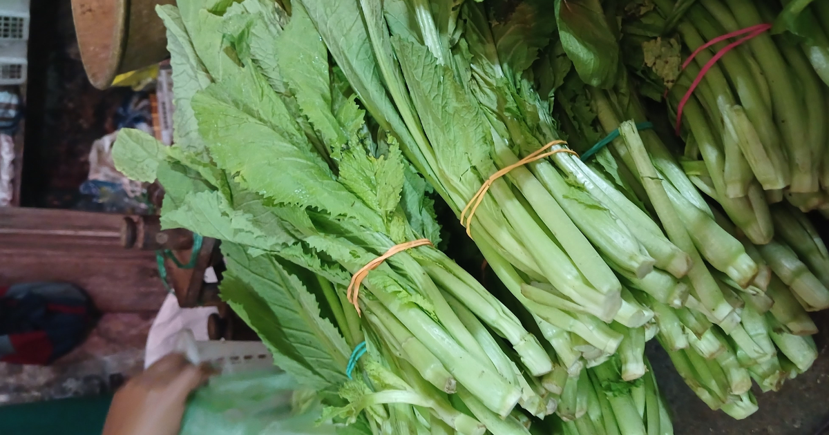 蕾菜（つぼみな）とは？栄養・保存・栽培方法から絶品レシピまで徹底解説