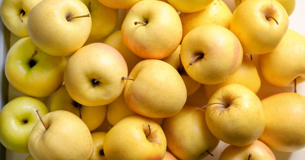 黄王（きおう）りんごの特徴：黄色いりんごの王様