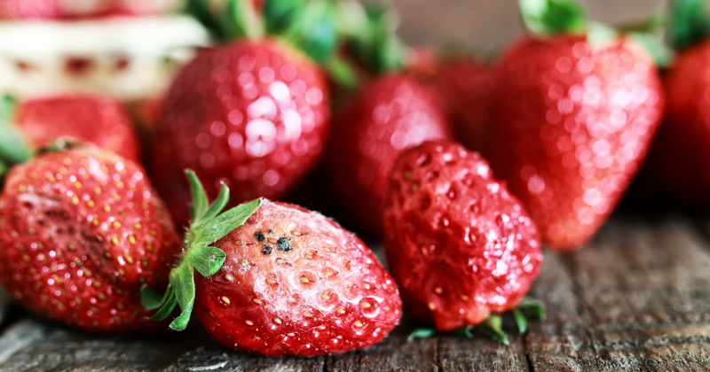 腐ったいちごを食べたらどうなる？症状・見分け方・対処法を解説