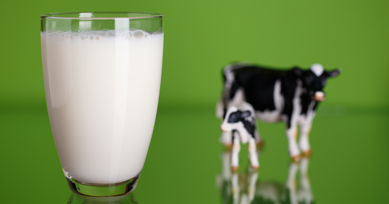 賞味期限切れ3日の牛乳は飲める？判断基準と活用術