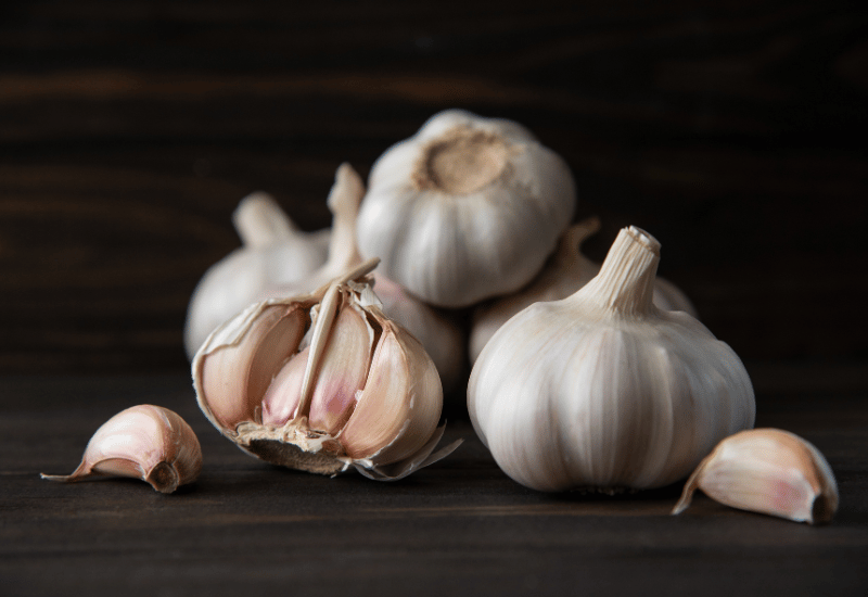 にんにくの分類や特徴