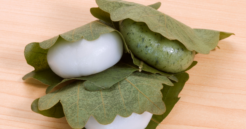 柏餅の葉っぱは食べる？食べない？徹底解説！マナーから意味、代用まで