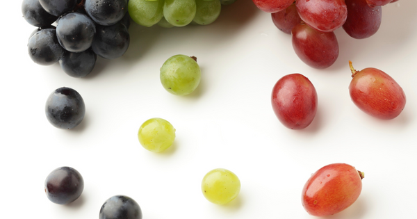 種無しぶどう ジベレリン処理