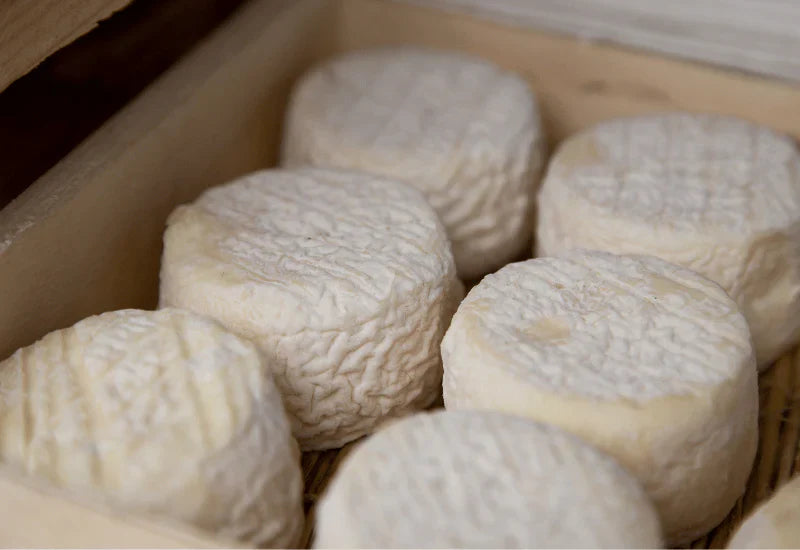 ナチュラルチーズ 妊娠中 加熱