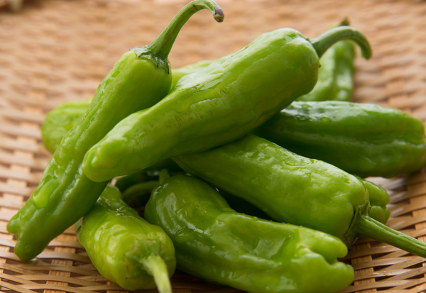 シシトウとは？特徴・旬・調理方法まで徹底解説