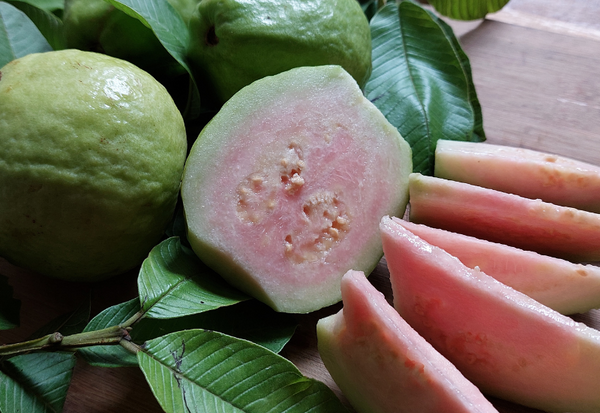 新鮮 グアバ 10キロ美味しくてカリカリです。 新鮮 グアバ 10キロ美味しくてカリカリです。 タイで「生グァバ