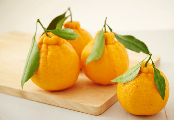 不知火みかんの美味しい食べ方：甘さを最大限に引き出す秘訣