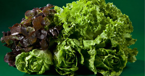 夏の葉もの野菜