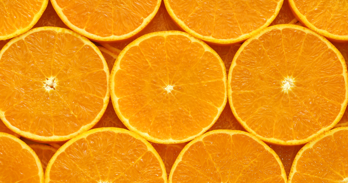 「せとか」とは？柑橘の大トロと呼ばれる理由と甘さ・コクの秘密を徹底解説！