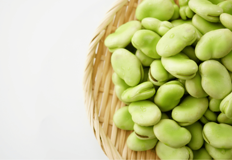 そら豆栄養