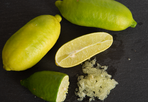 フィンガーライム：森のキャビアが彩る食の世界