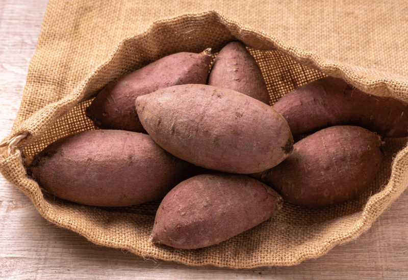 さつまいもの収穫時期：最高の甘さを引き出す見極め方