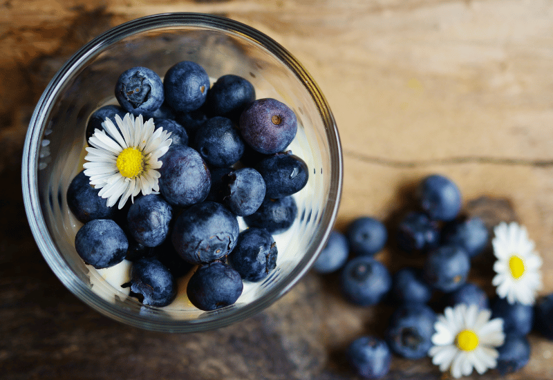 ブルーベリー大粒甘い品種