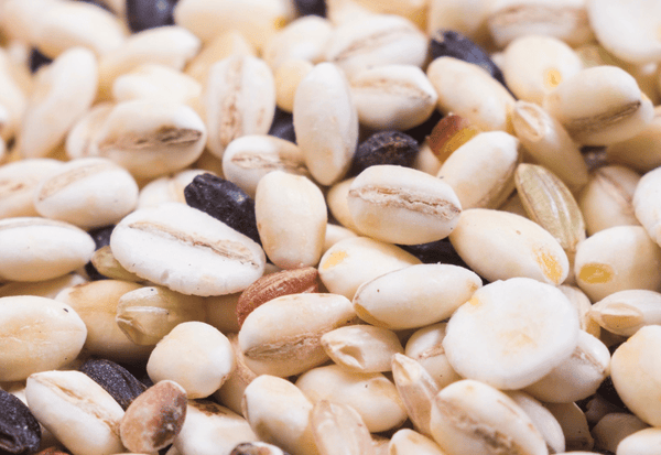 もち麦 vs 雑穀米：栄養、効果、選び方の決定版ガイド