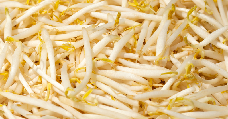 もやし冷凍保存