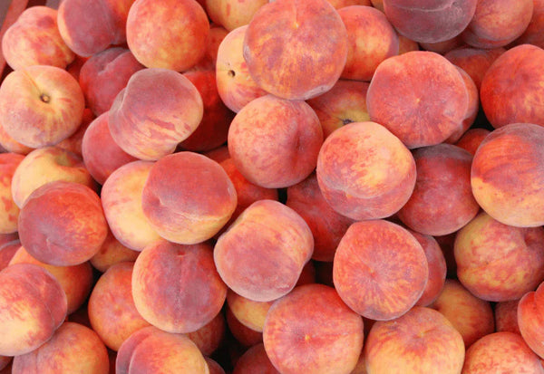 桃 おいしい 品種