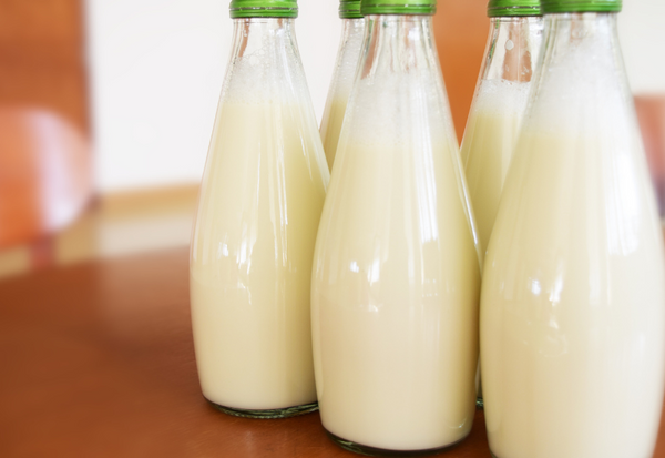 牛乳とミルクの違いとは？種類、栄養、用途、選び方まで徹底解説