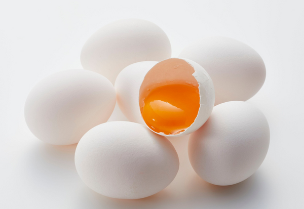 卵アレルギーでも鶏肉は食べられる？知っておきたいポイントと注意点