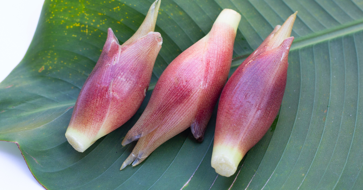 みょうが切り方