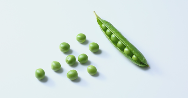 生のスナップエンドウ：知られざる魅力と安全な食べ方