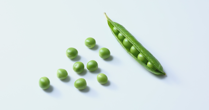 生のスナップエンドウ：知られざる魅力と安全な食べ方