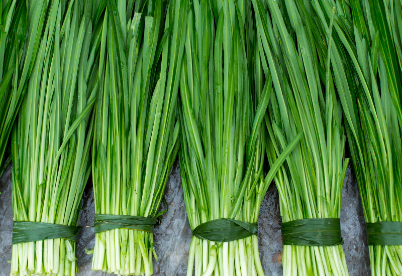 ニラを冷蔵庫で長くさせる保存術：鮮度を語る秘訣と活用レシピ