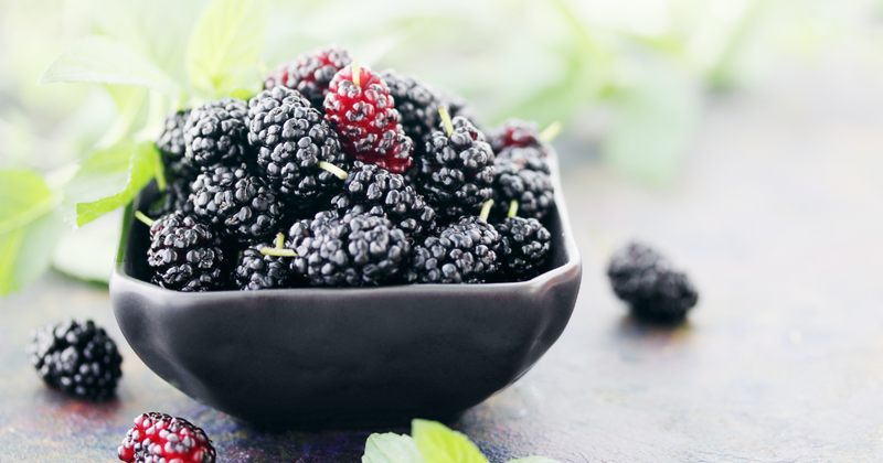 甘酸っぱい宝石：桑の実（マルベリー）徹底ガイド｜栄養・効能・レシピ