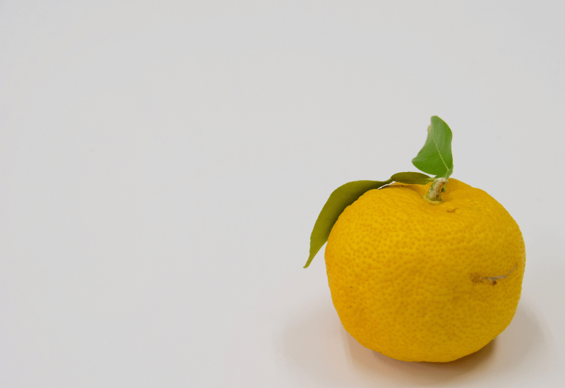 柚子の産地徹底ガイド：日本が誇る柑橘の故郷を巡る