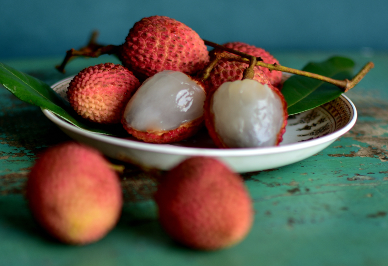 冷凍ライチの種から発芽に挑戦！成功の秘訣と注意点