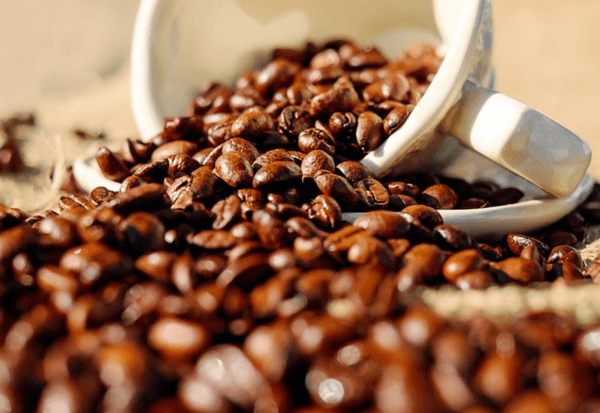 コーヒー 豆保存 - スイーツモール