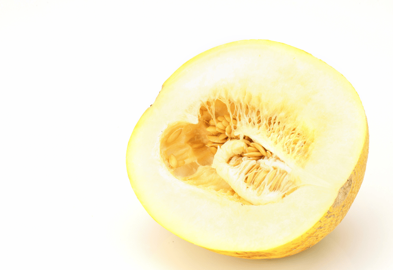 キンショウメロンがまずいと感じる理由とは？味の真相に迫る