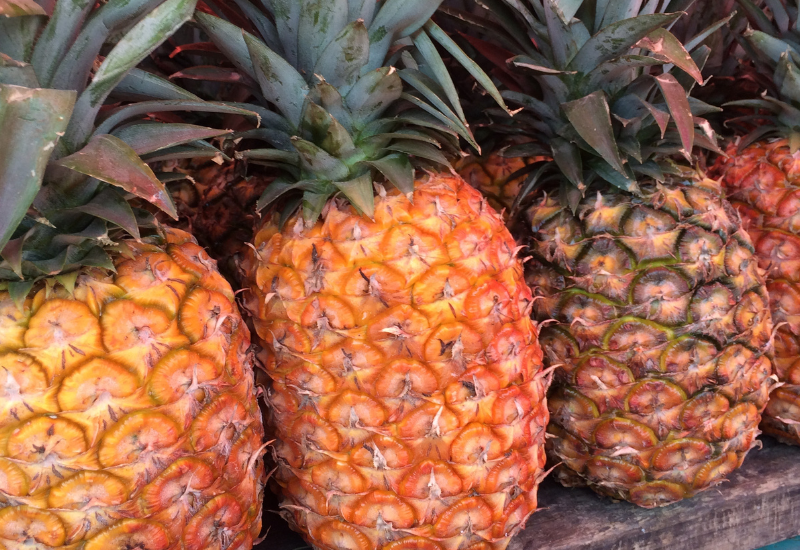 パイナップルは野菜？果物？ 分類を徹底解説