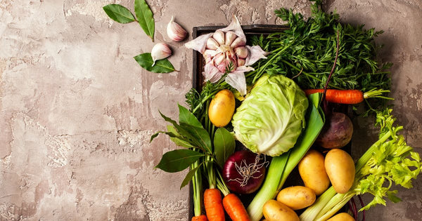 家庭菜園秋の野菜