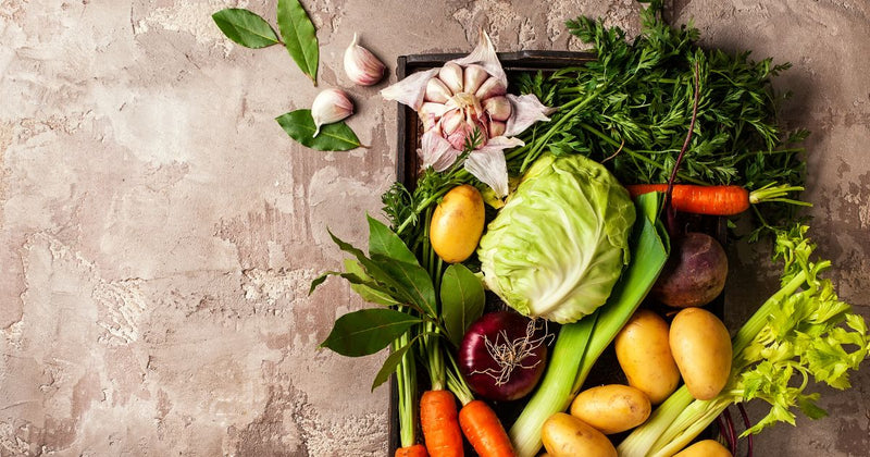 家庭菜園秋の野菜
