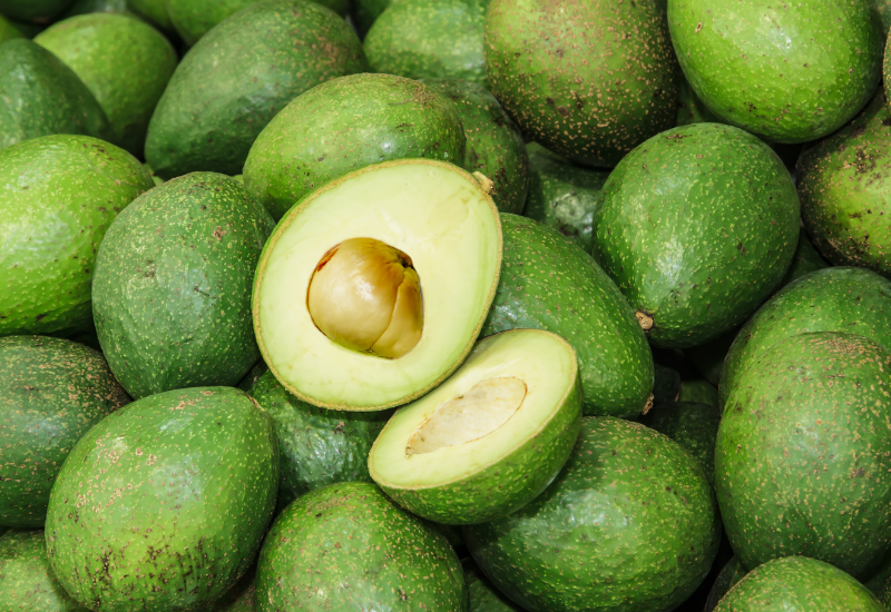 アボカドは野菜？果物？徹底解説！分類の秘密と食材への理解を深める