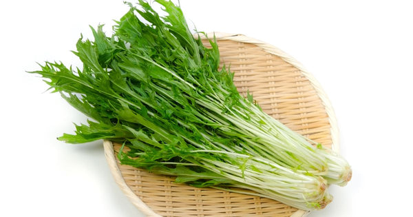 日本の食文化を彩る固有野菜：伝統と革新