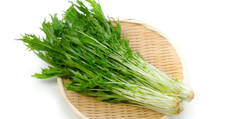 日本の食文化を彩る固有野菜：伝統と革新