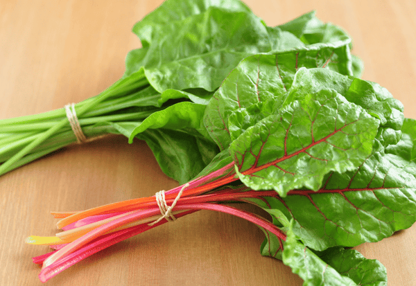 スイスチャード（不断草・フダンソウ）徹底解説