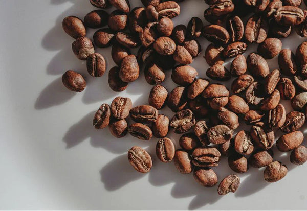 コーヒー 豆 冷凍