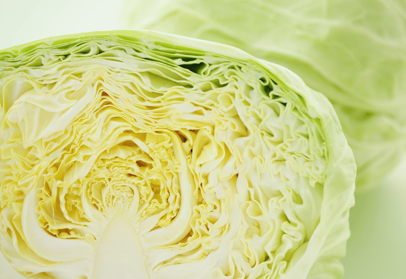 キャベツ 重さ