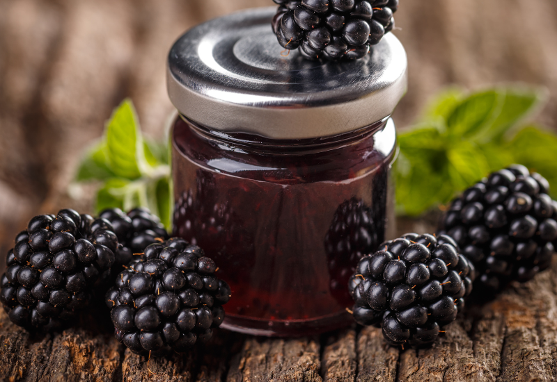 ブラックベリーの驚くべき栄養価：健康と美容をサポートする自然の恵み