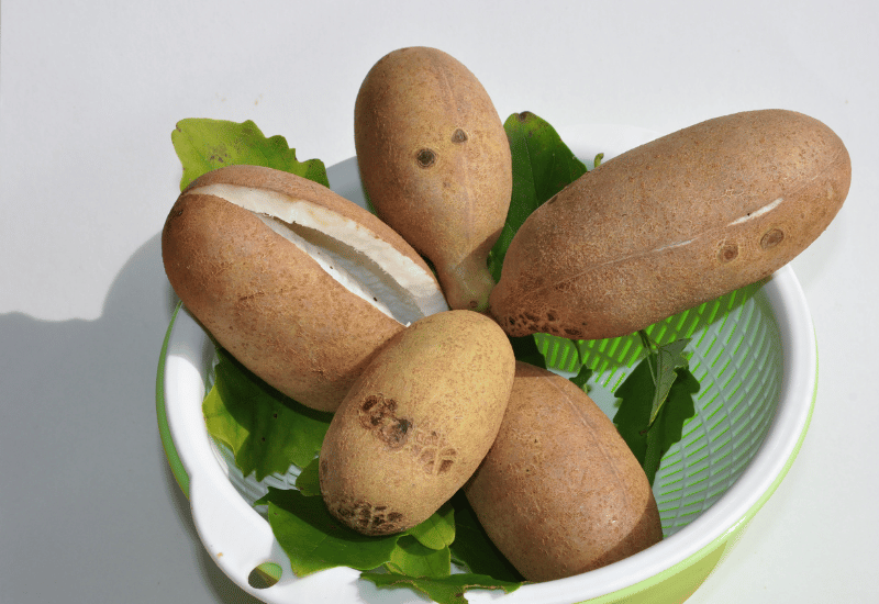 アケビの知られざる栄養価：秋の味覚から健康への恵み