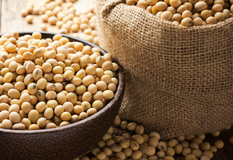 大豆イソフラボンの過剰摂取は体に悪い？適切な摂取量と効果的な活用法