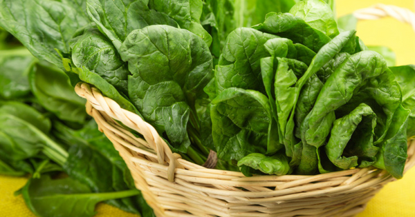 ほうれん草 保存 冷凍