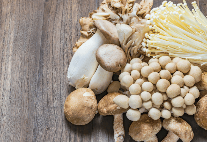 きのこの分類：生態と多様性を探る