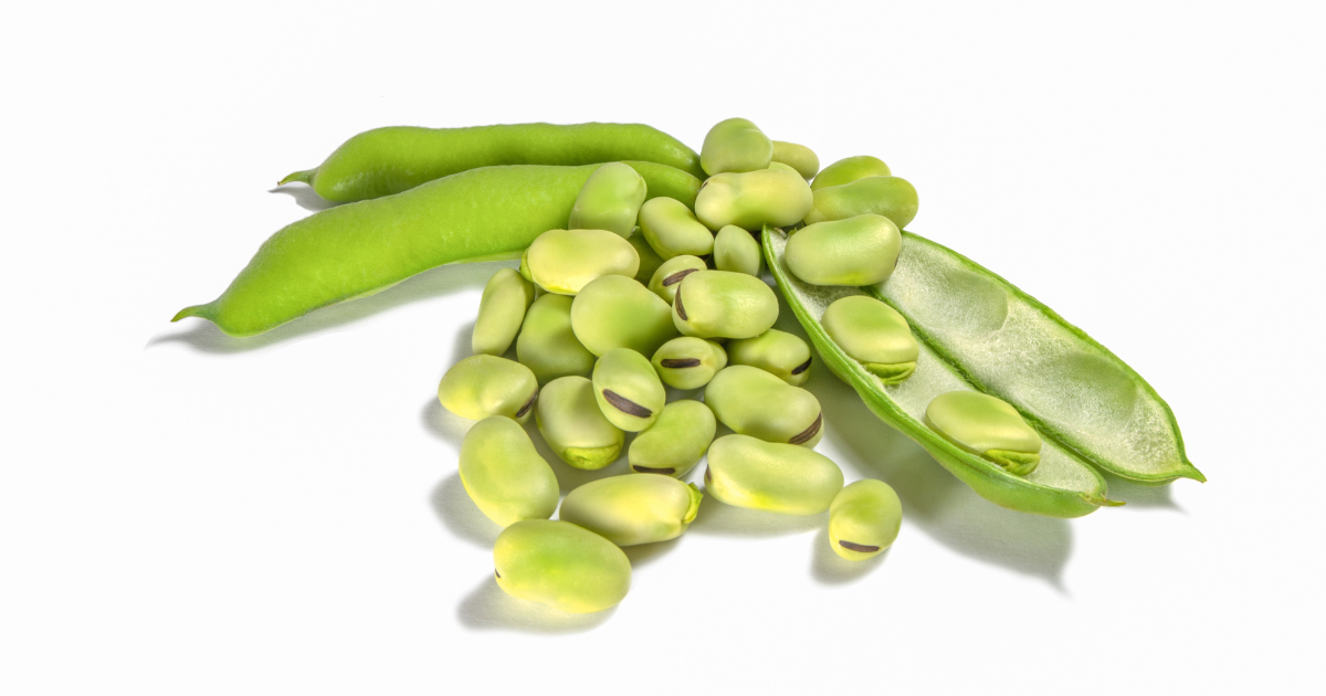 旬の味覚を逃さない！そら豆の保存方法：冷蔵・冷凍・解凍を徹底解説