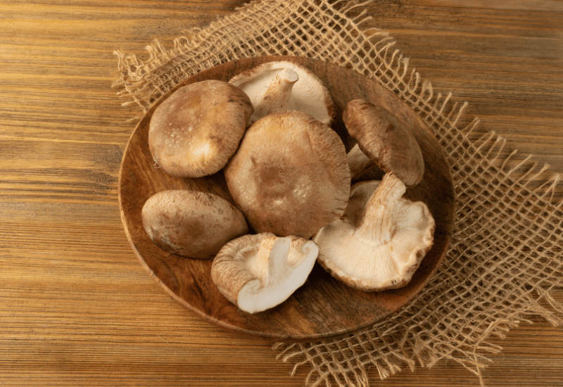 椎茸を長持ちさせる冷凍保存術！美味しさキープのコツ