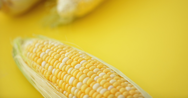 レンジで簡単！甘みたっぷり、とうもろこしの茹で方：プロが教える5分加熱のコツ