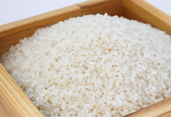 お米に黒いカビ？原因と対処法を徹底解説！